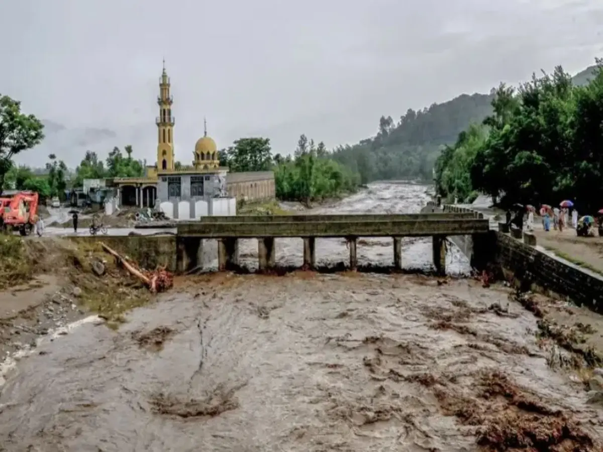 'Dead bodies from India are...' Pak minister's bizzare claim as monsoon floods ravage country 'Dead bodies from India are...' Pak minister's bizzare claim as monsoon floods ravage country