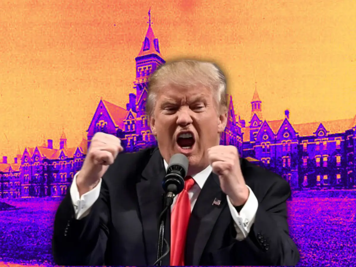 Trumps neuster verrückter Plan: Im Zuge seines harten Vorgehens gegen die ...