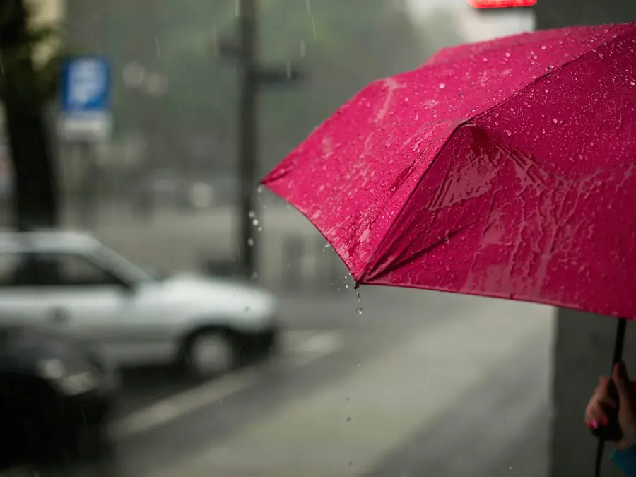 IMD issues 'Red Alert' for several parts of India as heavy rain lashes multiple states