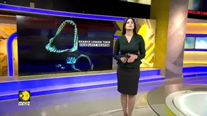 Climate change bites back at sharks