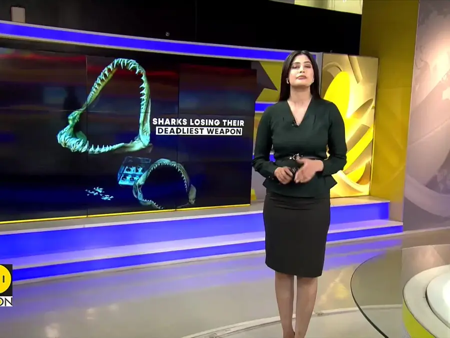 Climate change bites back at sharks