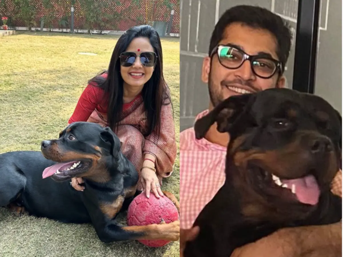 Dogfight in court: Delhi HC urges Mahua Moitra, ex-partner to settle custody row over pet rottweiler Dogfight in court: Delhi HC urges Mahua Moitra, ex-partner to settle custody row over pet rottweiler