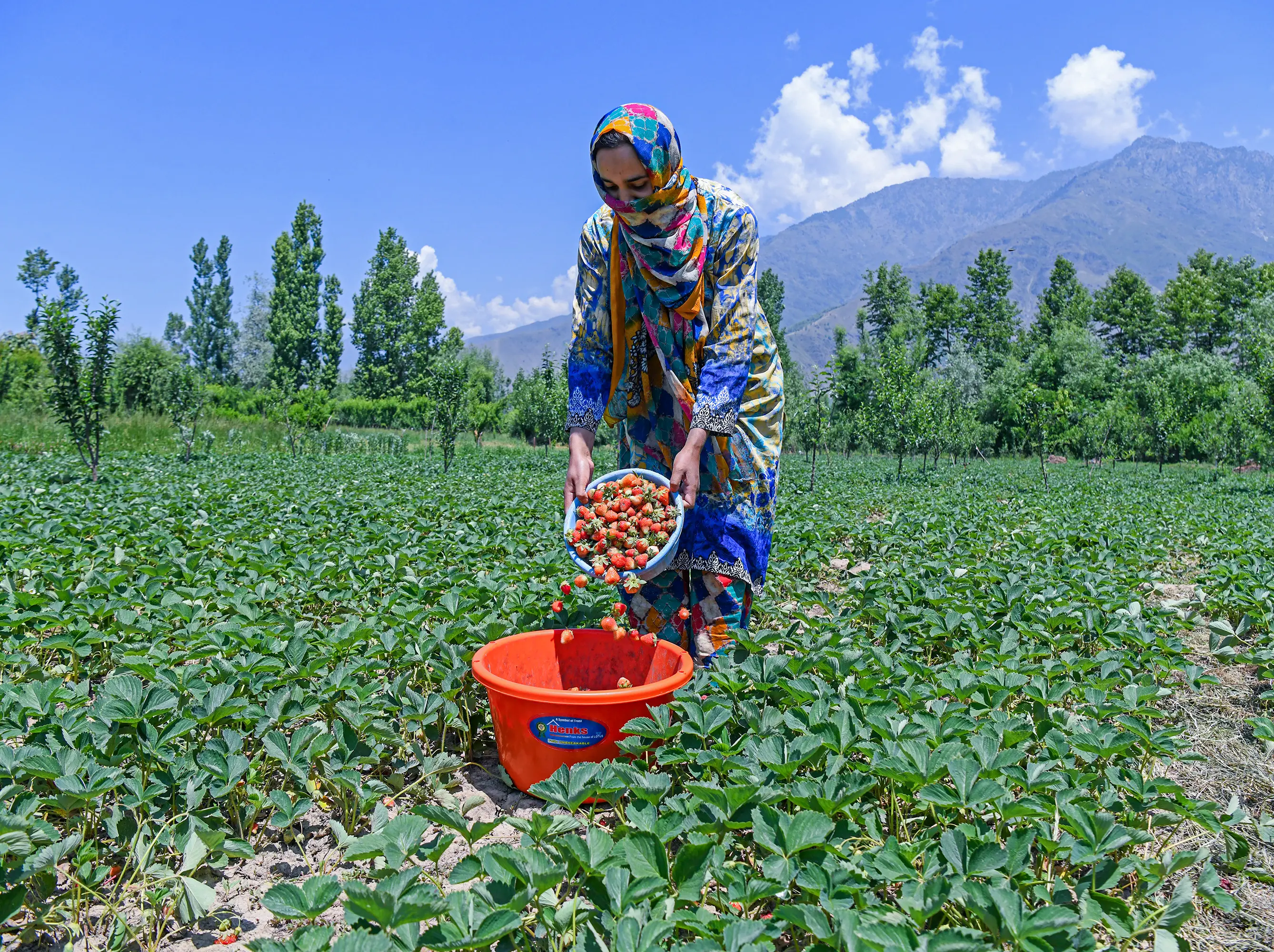 New GST Rates 2025: Tractors, fertilisers, equipment - Centre extends tax bounty for farmers New GST Rates 2025: Tractors, fertilisers, equipment - Centre extends tax bounty for farmers
