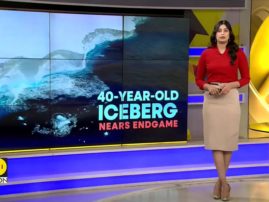World's Biggest Iceberg: Frozen Giant A23A Breaking Apart | WION