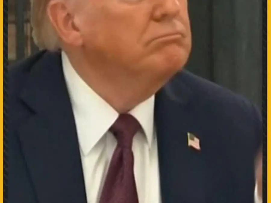 Trump discusses AI education, Zelensky call, and political updates