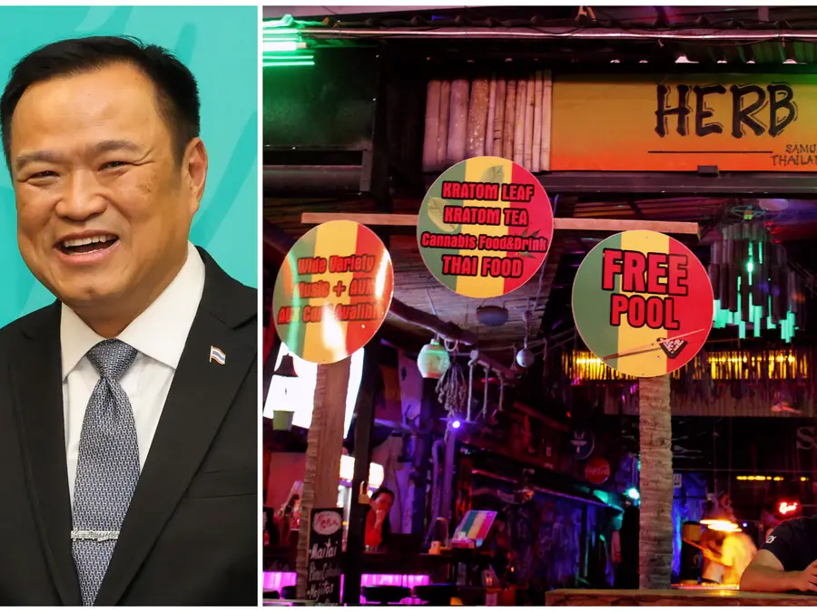 'Cannabis king' to Thailand prime minister: Anutin Charnvirakuls' political rise linked to nation's hemp legalisation revolution