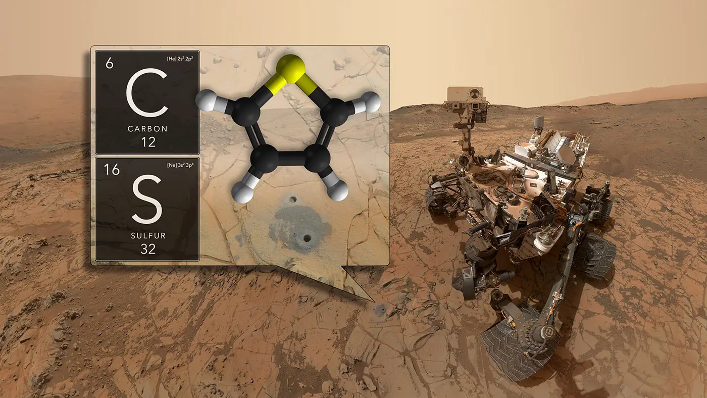 Organic molecules are carbon-based compounds