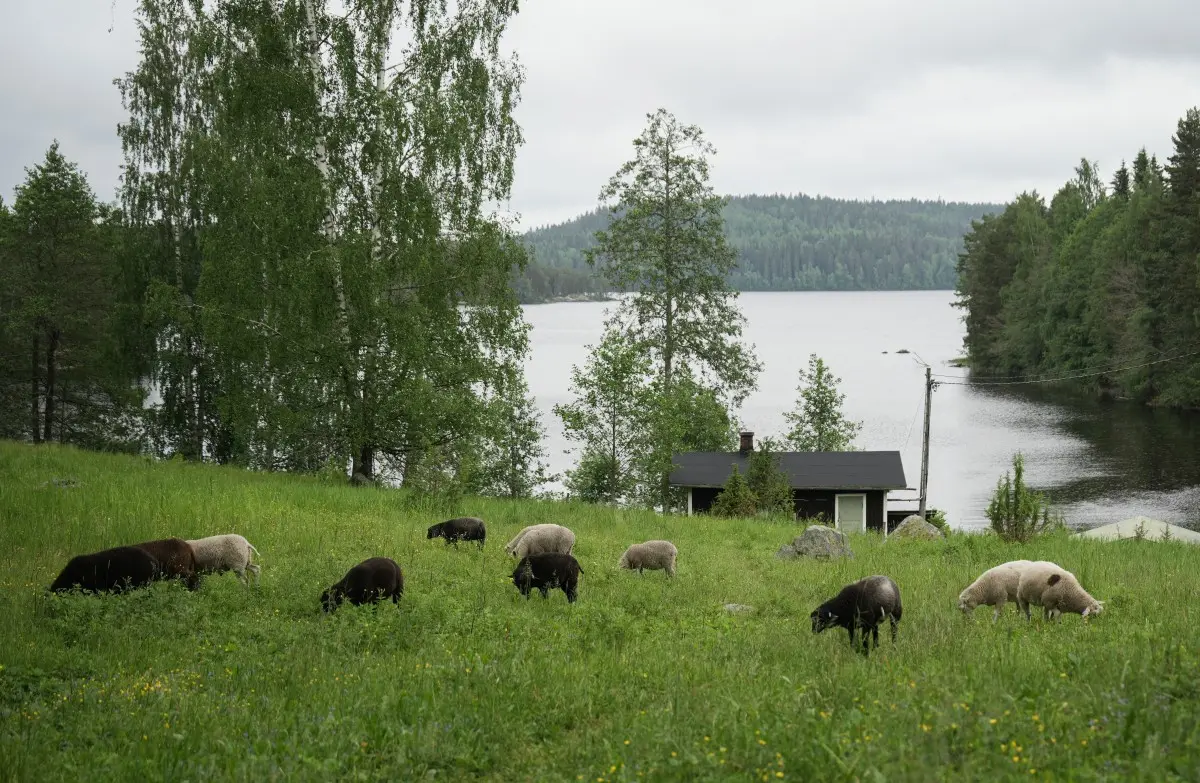 Finland