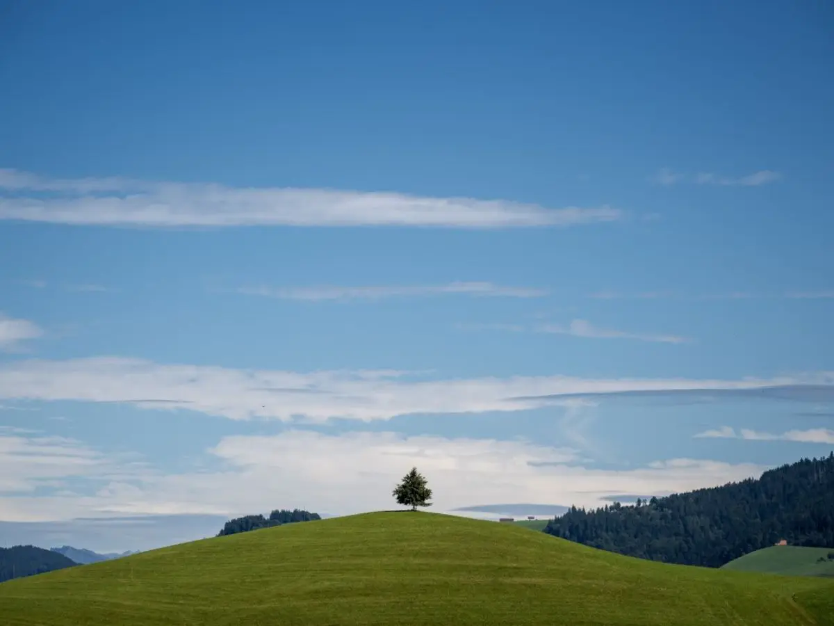 Top 10 greenest countries in the world (2025): Latest EPI 2024 rankings