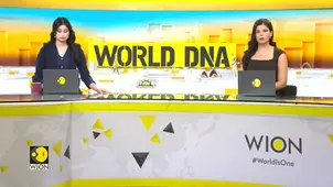 Red Sea Internet Cables Cut, Slower Internet Speed Hits Parts of Asia | WION