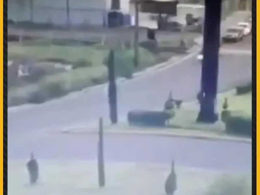 Mexico Accident: Train Collides with Bus, 10 Dead, 61 Injured | WION 