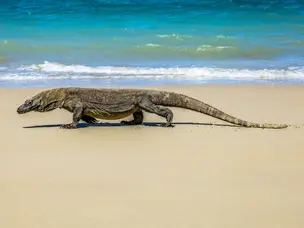 Asia’s top 10 National Parks on the UNESCO World Heritage list you must visit