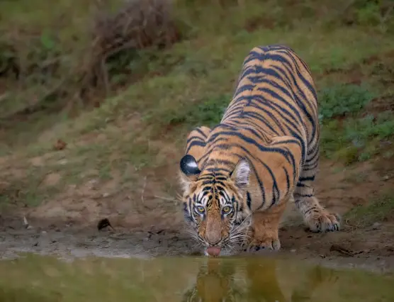 9. Chitwan National Park, Nepal