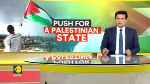 The UN General Assembly Votes in Favour of a Two-state Solution With a Condition 