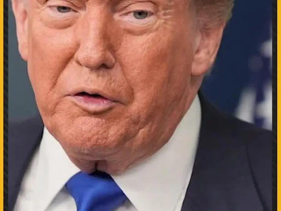 Donald Trump says he was surprised about Jair Bolsonaro's conviction in Brazil 