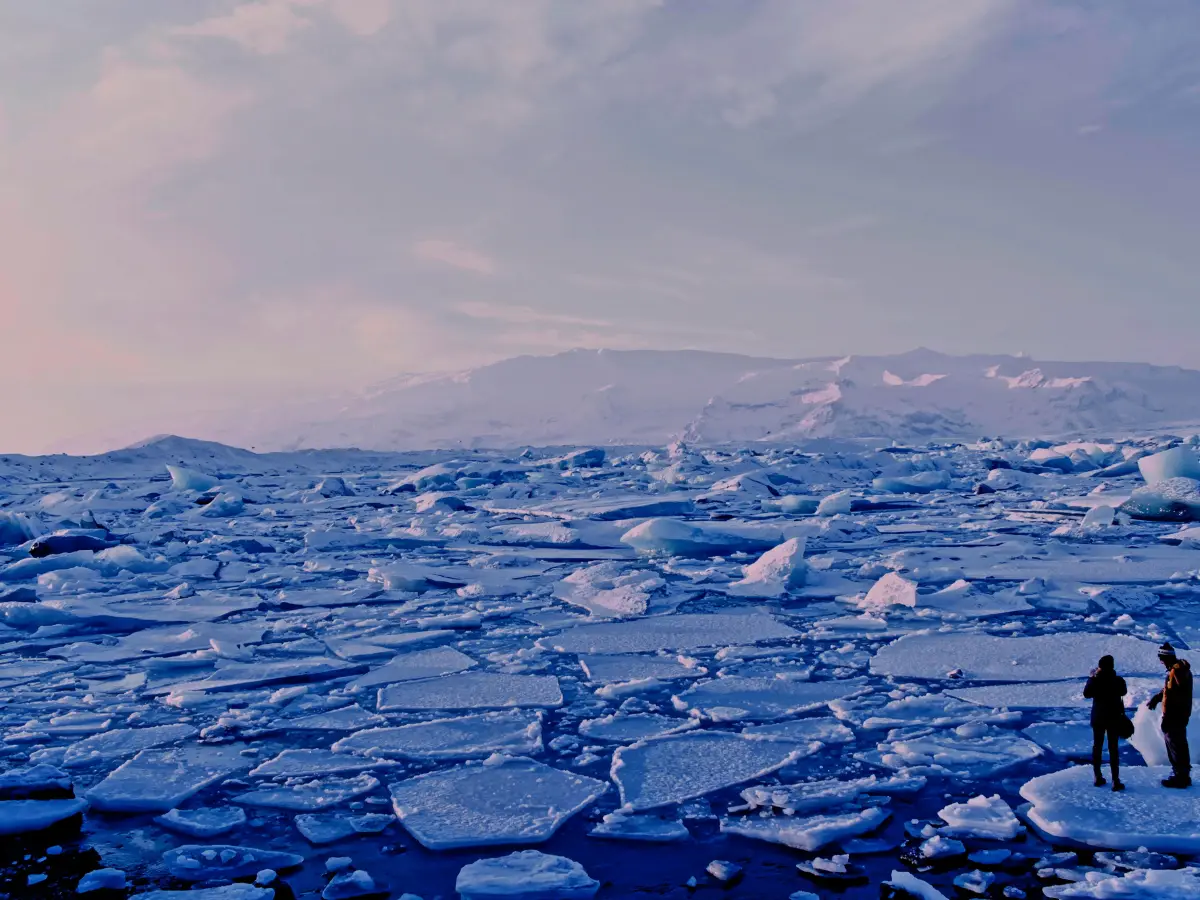 Scientists surprised to see organism 'alive and moving' inside Arctic Ocean that they thought was dead