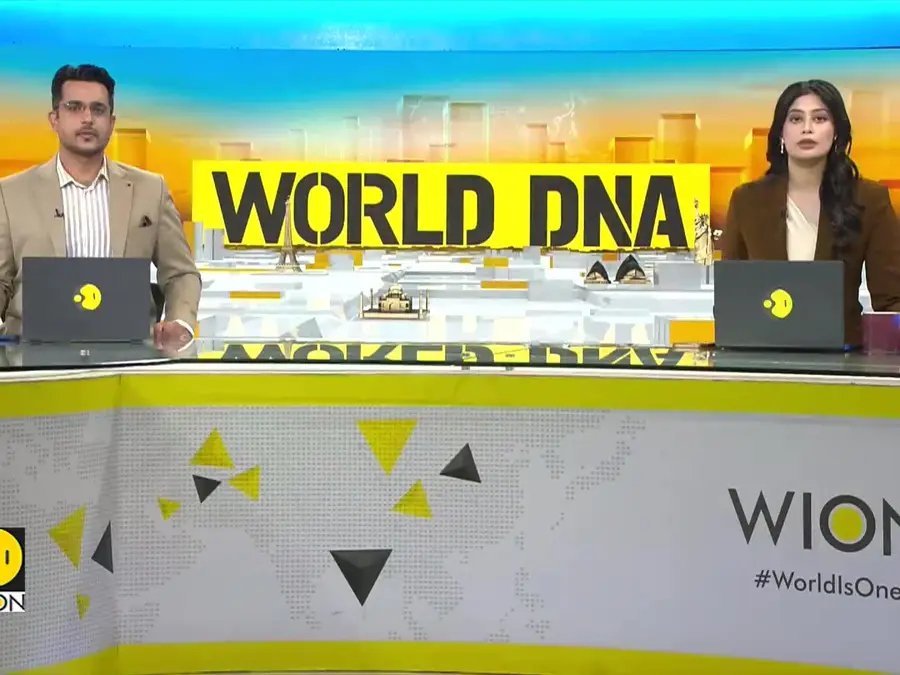 Bright Star 25: U.S. & allied paratroopers conduct massive airborne drill