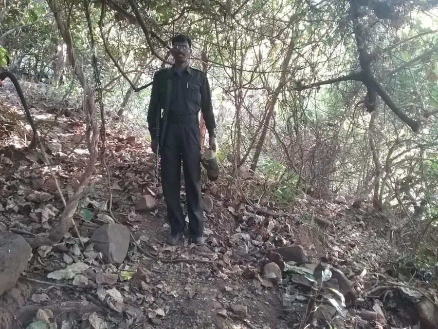 Top Maoist commander with Rs 1 crore bounty, 2 others killed in Jharkhand encounter