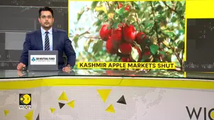 Srinagar-Jammu highway closure cripples apple trade | Wholesale fruit markets shut for 2 days