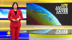 Global efforts paying off: Ozone layer showing signs of healing, says UN