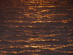 20 million tons of gold lies in Earth's oceans — But don’t expect it to be mined anytime soon