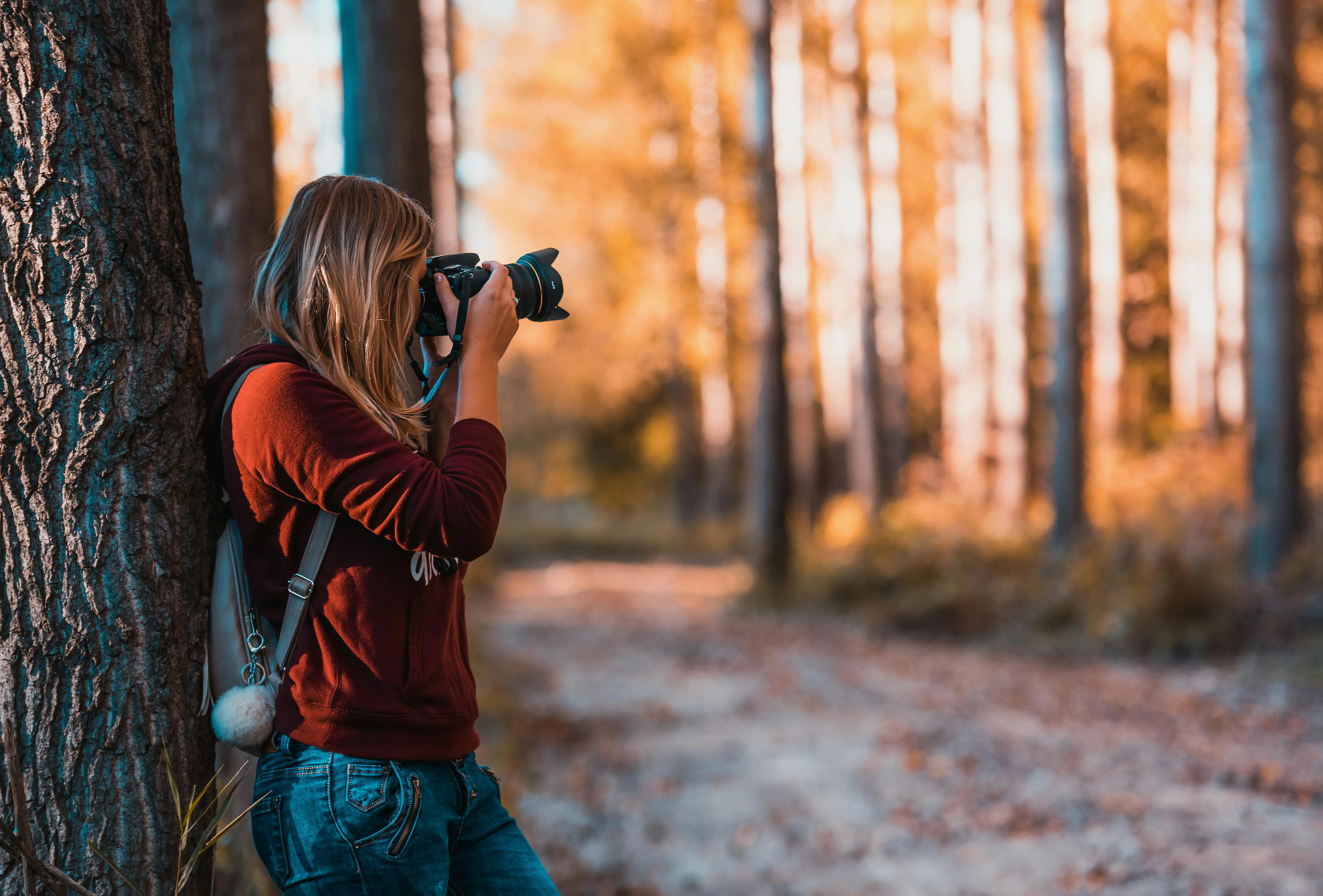 3. Photography & Videography