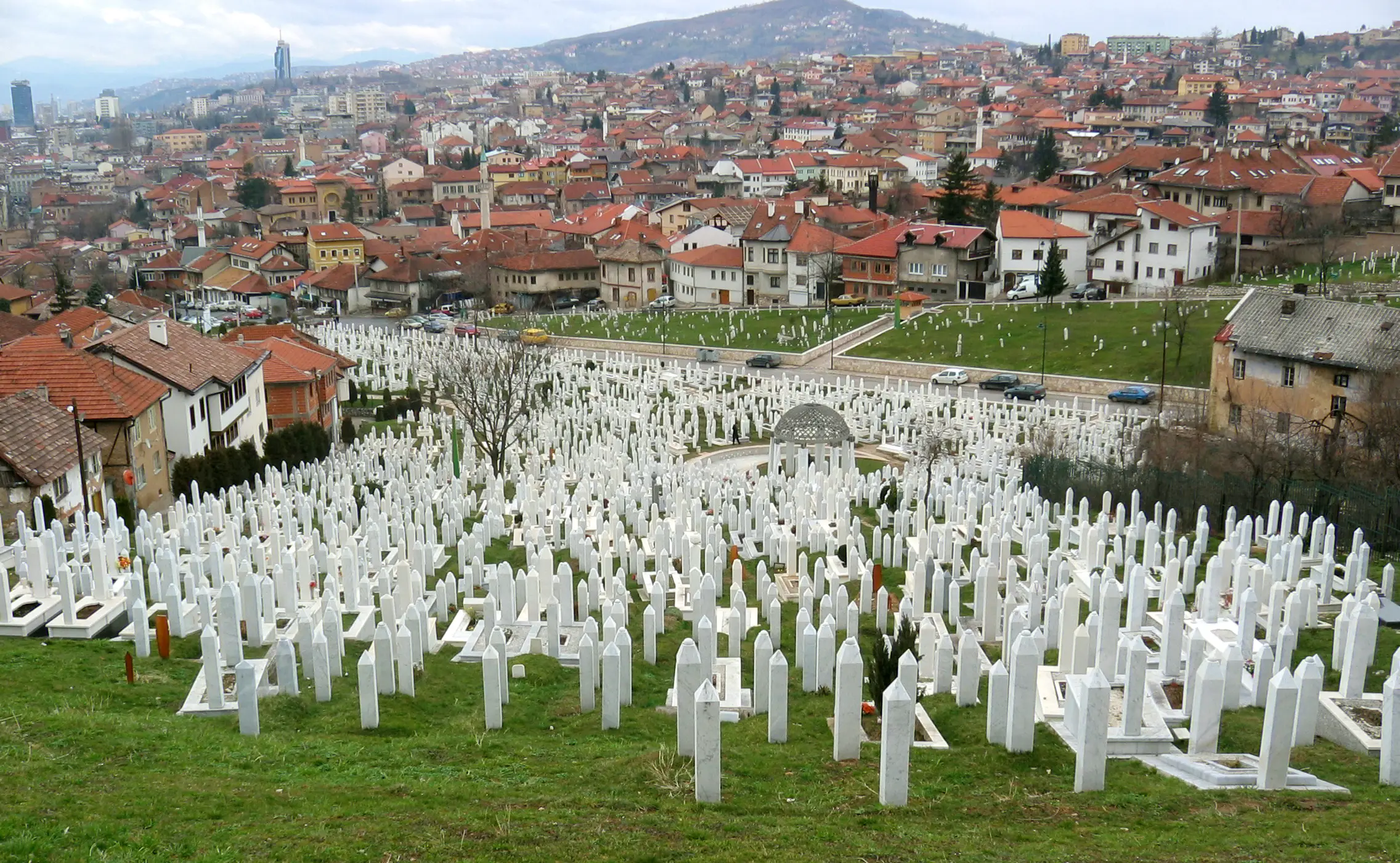 The Bosnian Genocide (Bosnia and Herzegovina, 1992–1995)