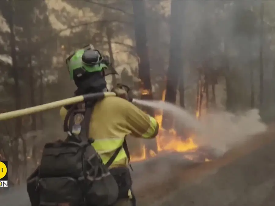 Matcha Shortage Tied to Extreme Weather