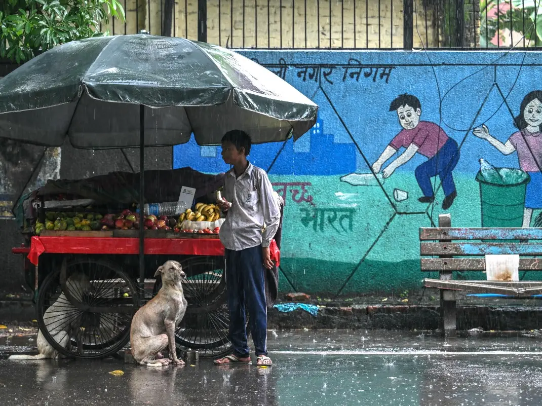 UP government introduces “Life Imprisonment” for stray dogs that bite humans twice UP government introduces “Life Imprisonment” for stray dogs that bite humans twice