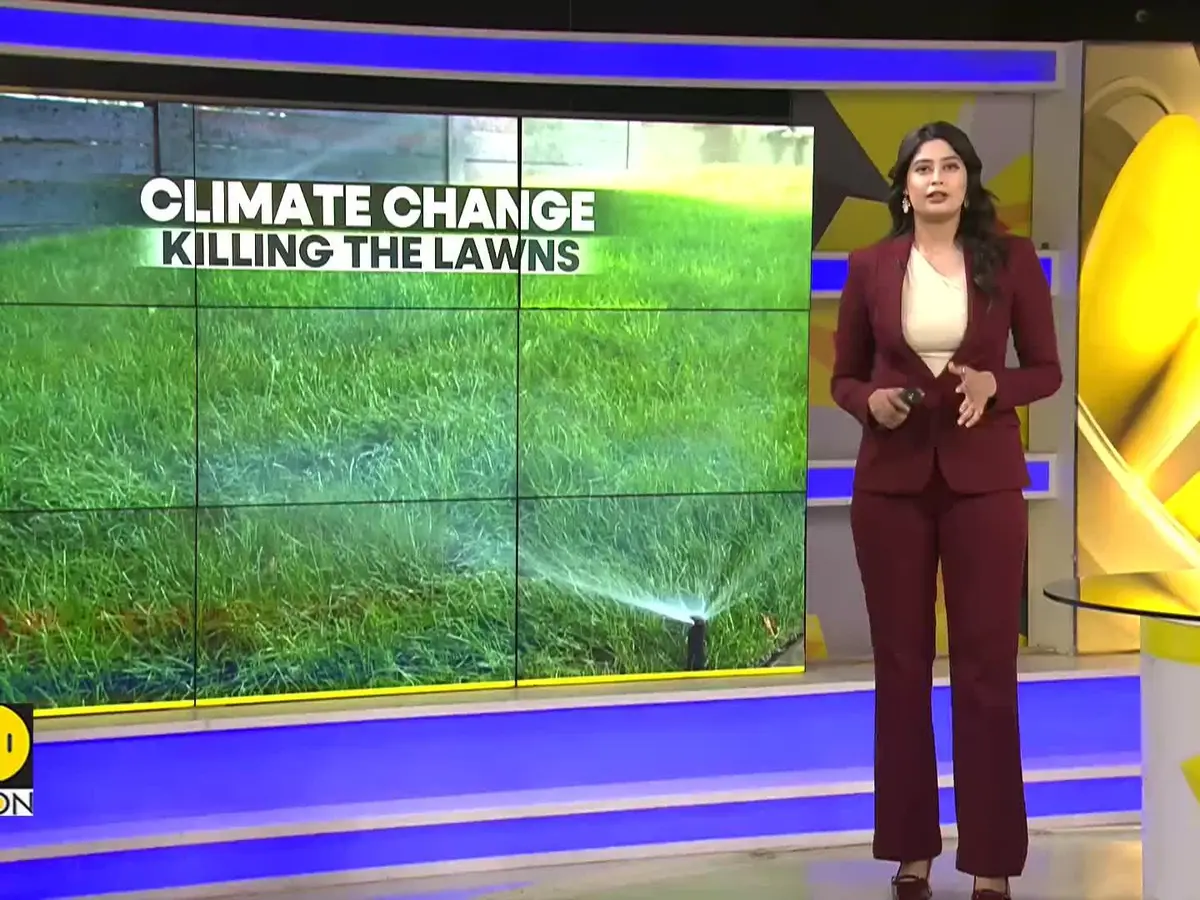 Climate Change Threatens Lawns: Is Your Yard Sustainable in a Drought?