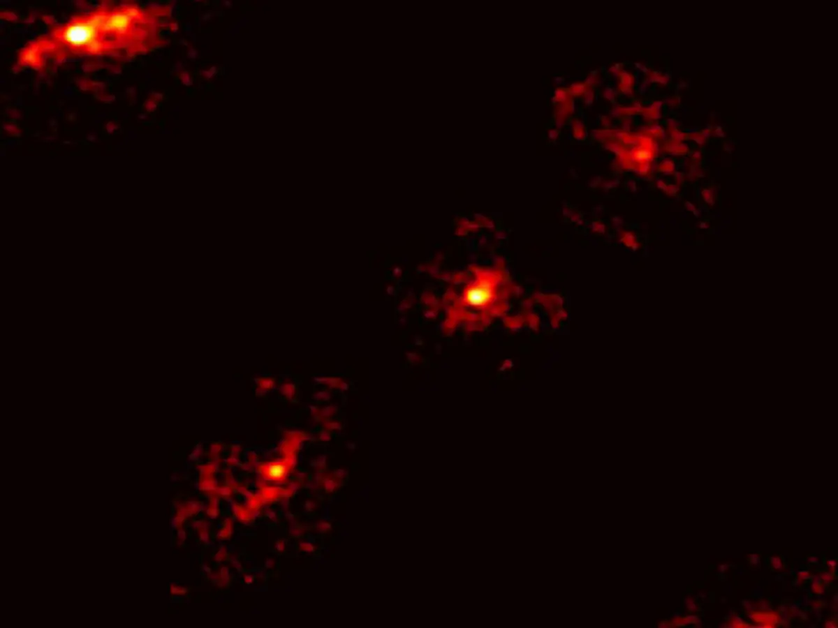 Einstein Cross Formation Reveals Hidden Dark Matter Halo