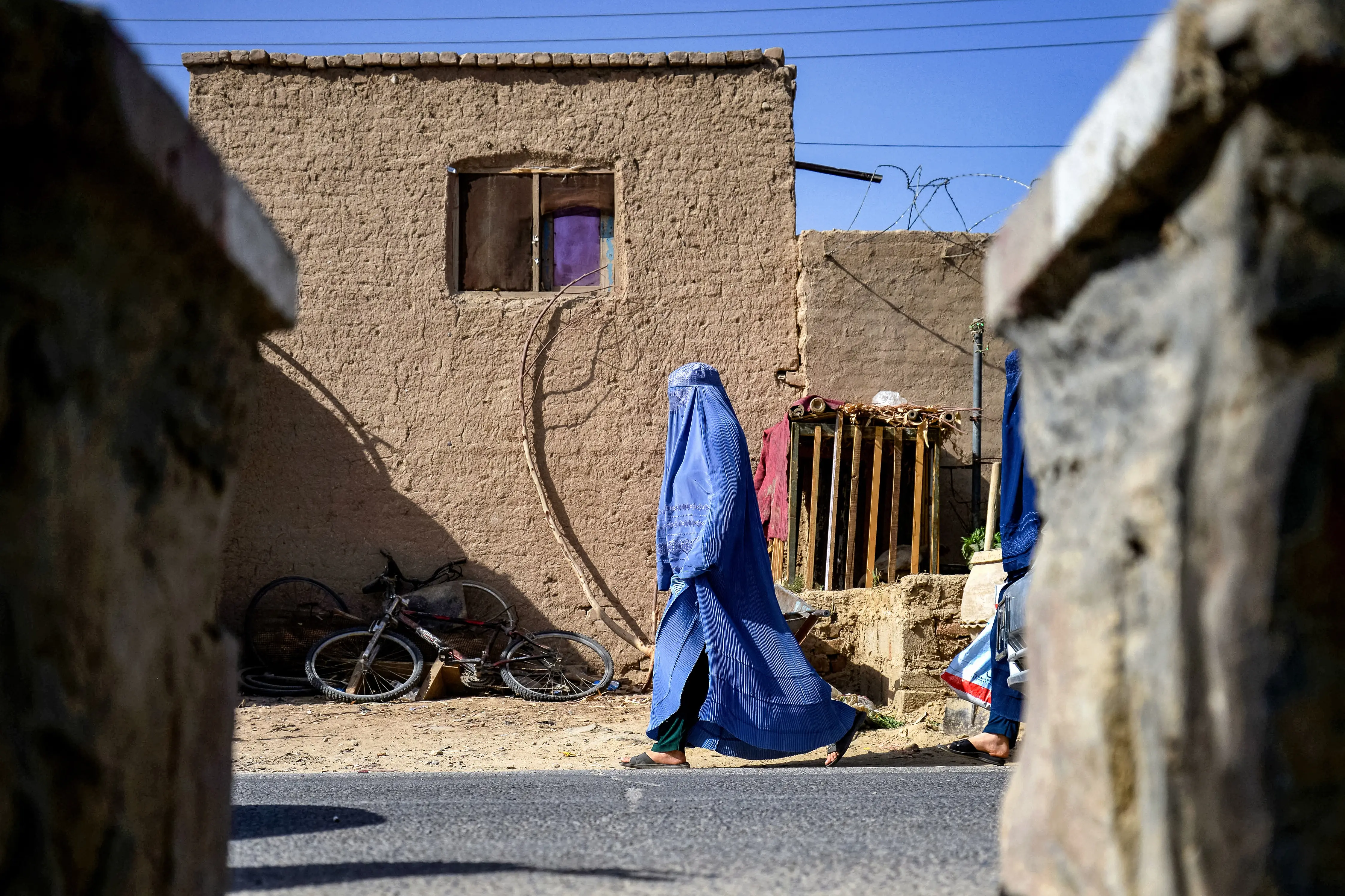‘Anti-Sharia’: ‘Misogynist’ Taliban bans women authors from university syllabi