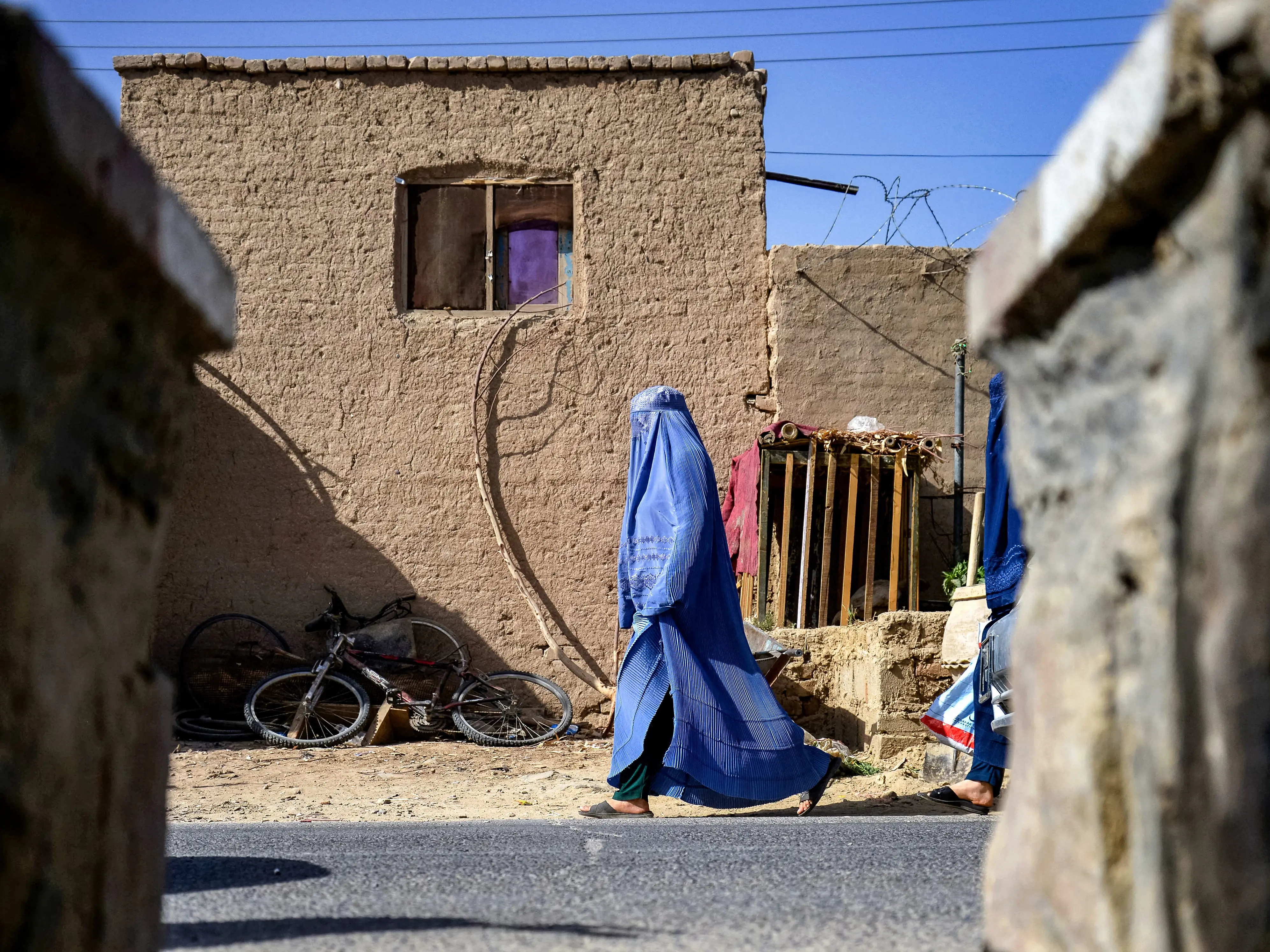 ‘Anti-Sharia’: ‘Misogynist’ Taliban bans women authors from university syllabi ‘Anti-Sharia’: ‘Misogynist’ Taliban bans women authors from university syllabi