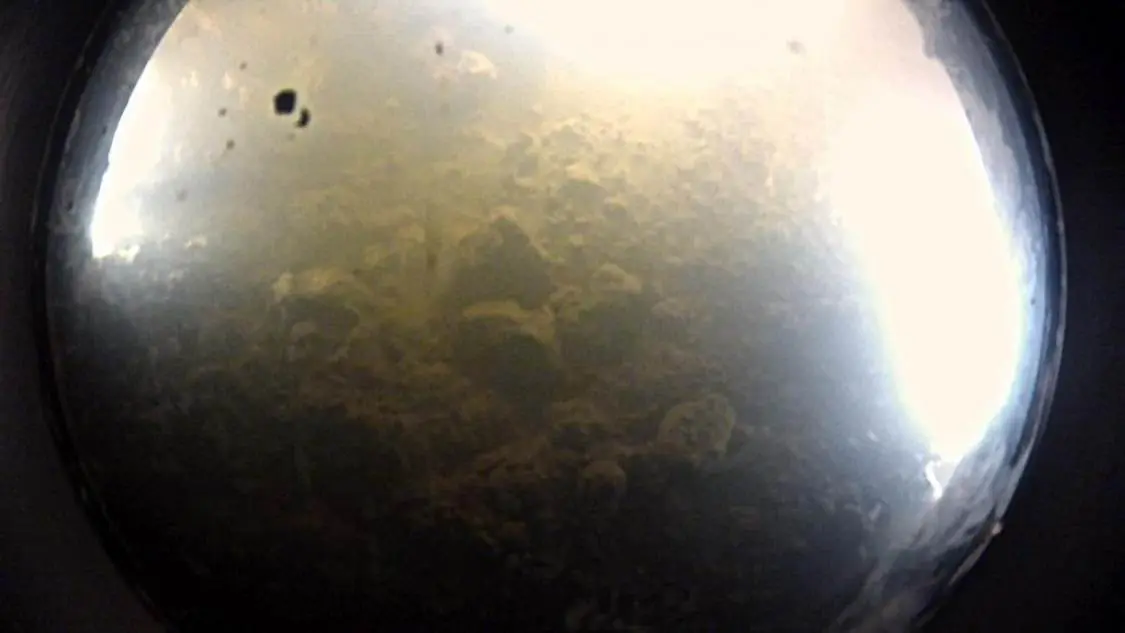 6. Lake Whillans: A Subglacial Microbial World