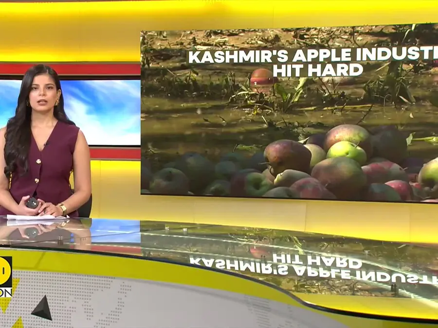 J&K: Apple Orchards Submerged at Harvest Time | Apple Sector Loses $24 Million Approximately