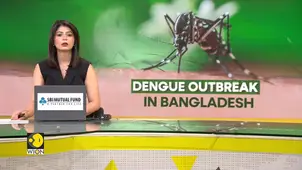 Bangladesh Sees Surge in Dengue Cases, At Least 179 People Died 