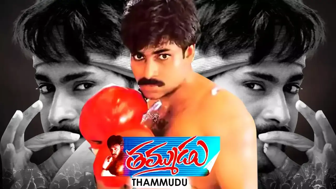 Thammudu, Netflix