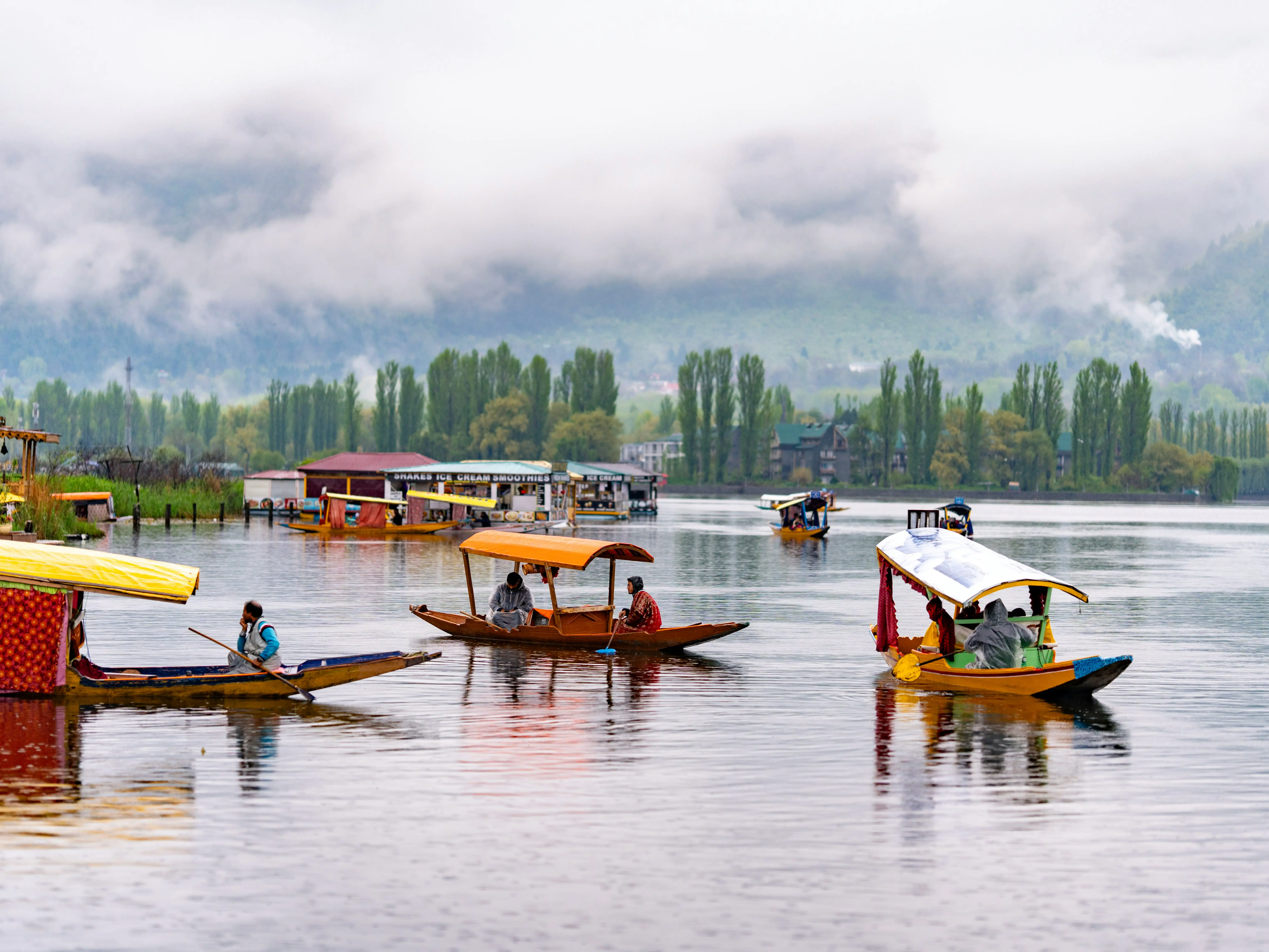 Kashmir's horticulture, agriculture, tourism, and handicraft industries welcome the reduction in GST Kashmir's horticulture, agriculture, tourism, and handicraft industries welcome the reduction in GST