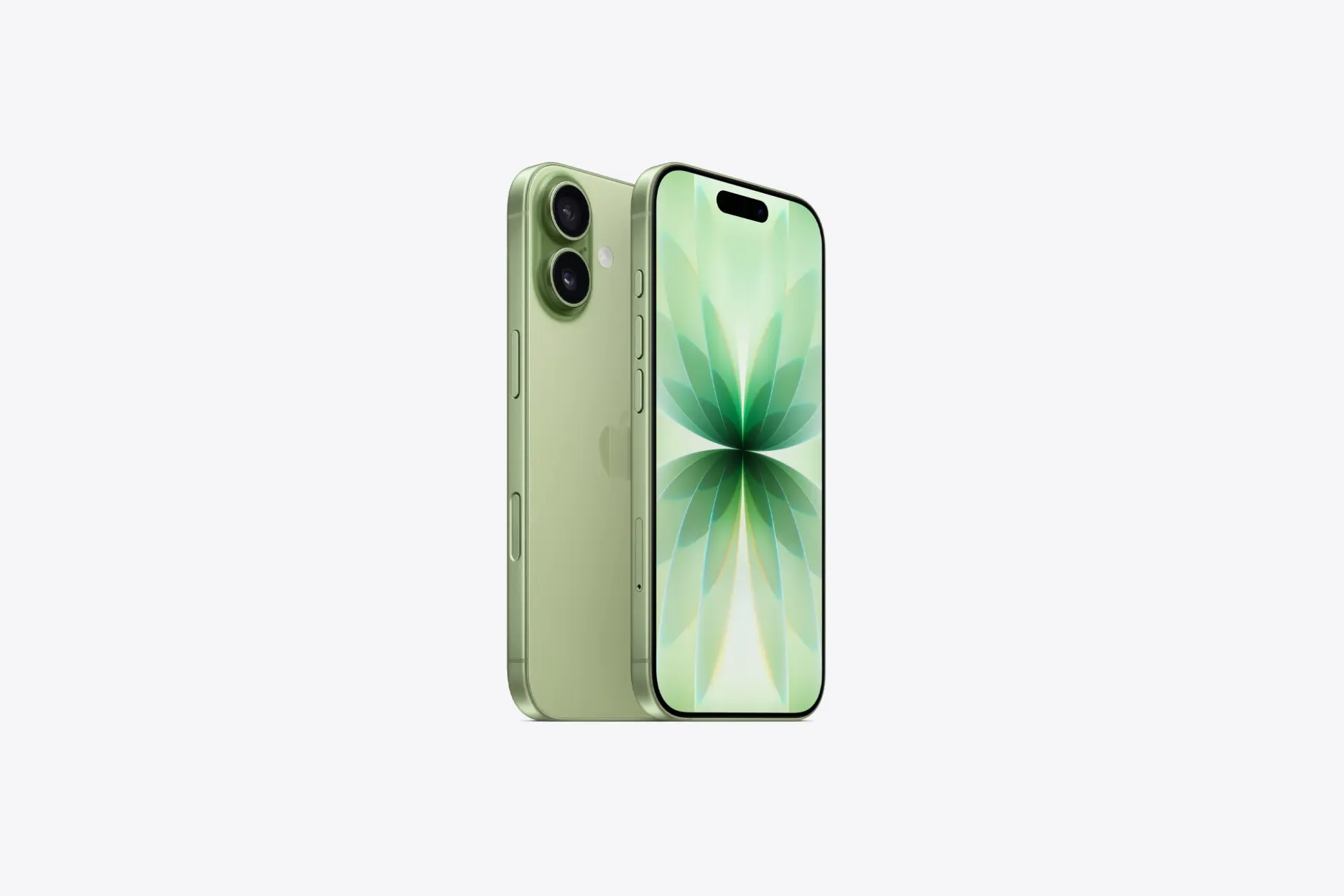 Sage - The subtle green