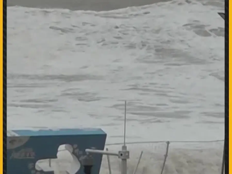 Typhoon Ragasa: Strong Winds and Heavy Rainfall Lash Shenzhen Amid Severe Weather 