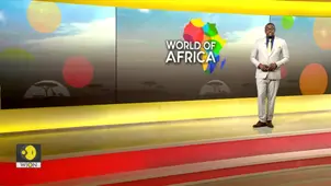  Guinea Voters Say 'Yes' To New Constitution In Referendum