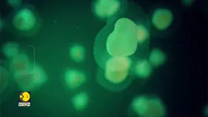 Experts Say Misuse Of Antibiotics To Blame For Spike
