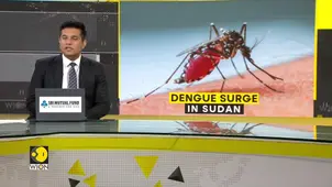 Sudan: Dengue cases on rise, over 2,000 cases of dengue fever recorded over the week 