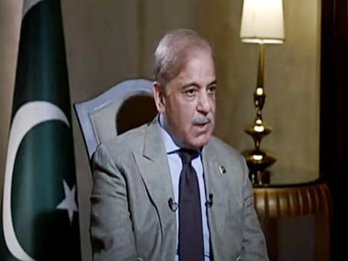 Pak PM Shehbaz Sharif makes contradictory claims at UNGA on downing Indian jets. Here's what he said