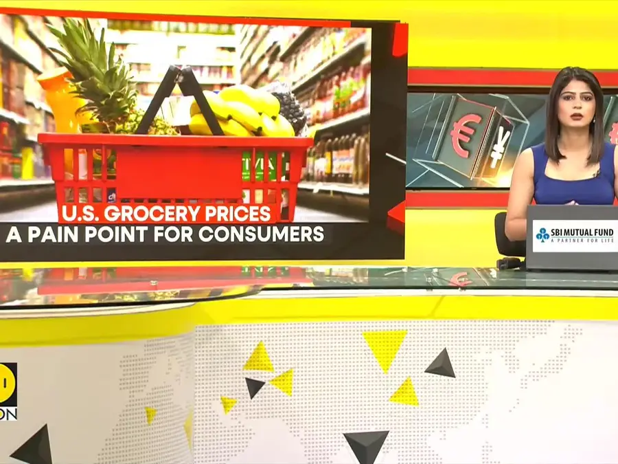 U.S. Grocery Prices: A Pain Point for Consumers | WION World Business Watch 