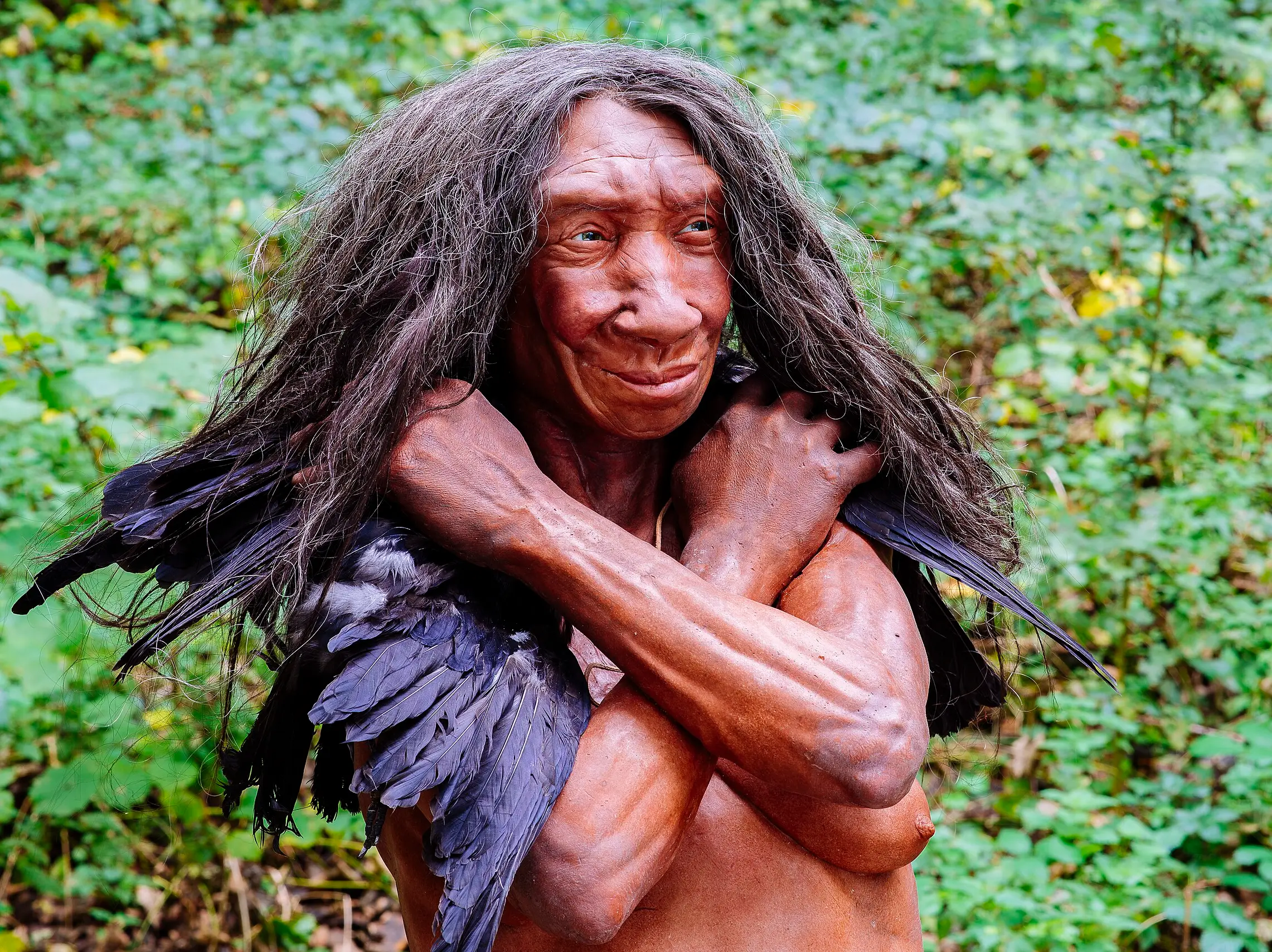 Prehistoric sunscreens! Did you know humans had a sun protection secret 40,000 years ago? Prehistoric sunscreens! Did you know humans had a sun protection secret 40,000 years ago?