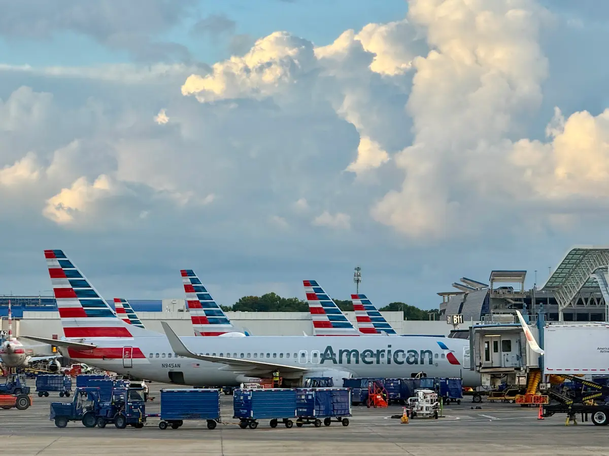 Teenager Survives Flight in Landing Gear: A Miracle and Security Failure