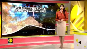 Namibia Wildfire: Etosha Fire Burns One-third of Iconic National Park 
