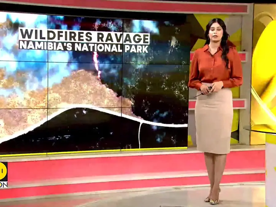 Namibia Wildfire: Etosha Fire Burns One-third of Iconic National Park 