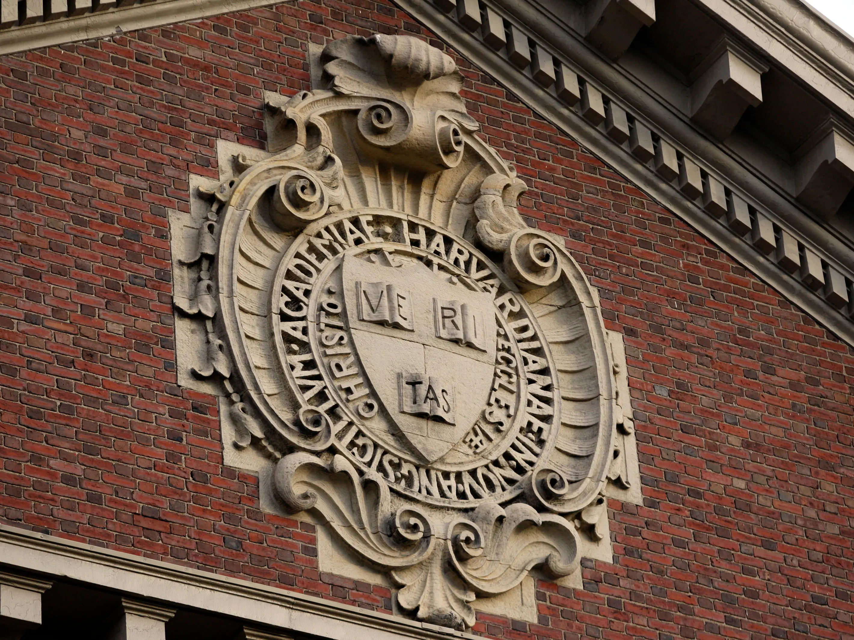 Trump says Harvard close to $500M settlement — will be forced to run trade schools Trump says Harvard close to $500M settlement — will be forced to run trade schools